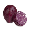 cabbage