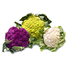 cauliflower