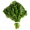 1 cup fresh raw mustard green