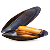 1 pound of mussels