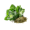 1 tablespoon fresh oregano leaves